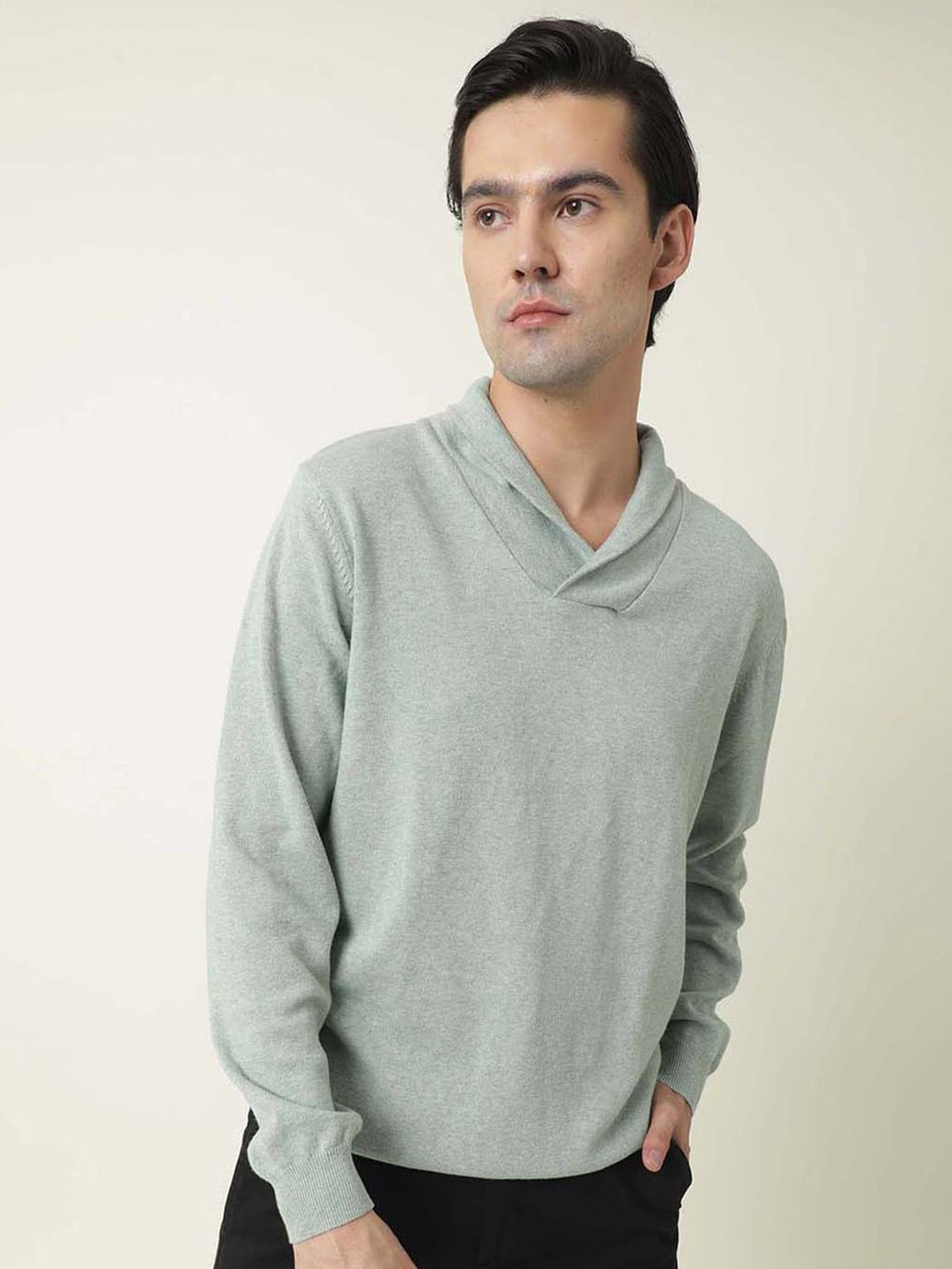  RARE RABBIT Men Green Sweatshirt