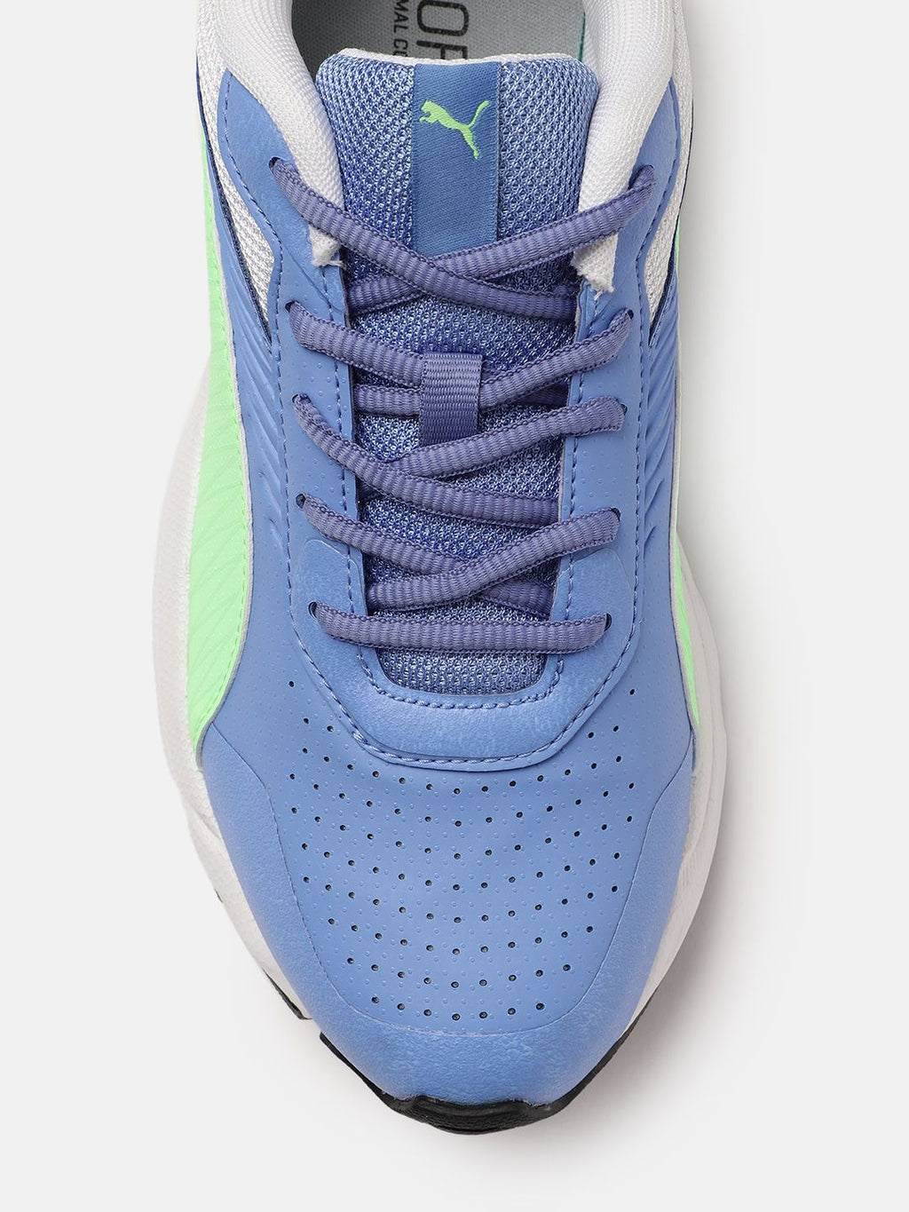  Puma Men Blue Cricket Active Shoes