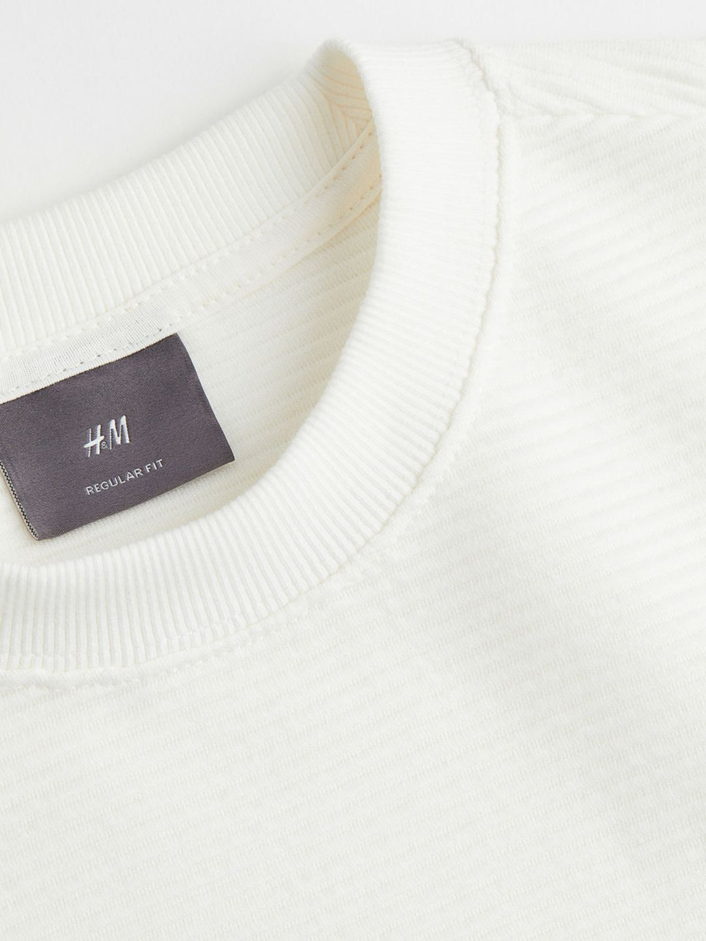  H&M Men Regular Fit Ribbed Sweatshirt