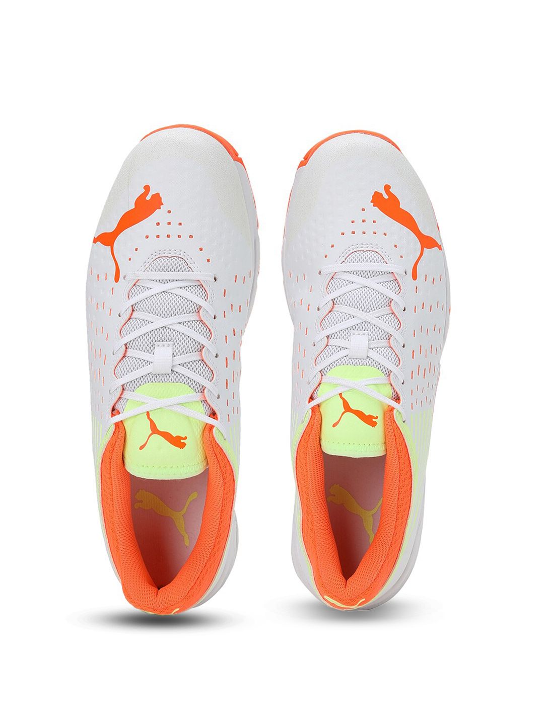  Puma Spike 22.1 Men Cricket Sports Shoes