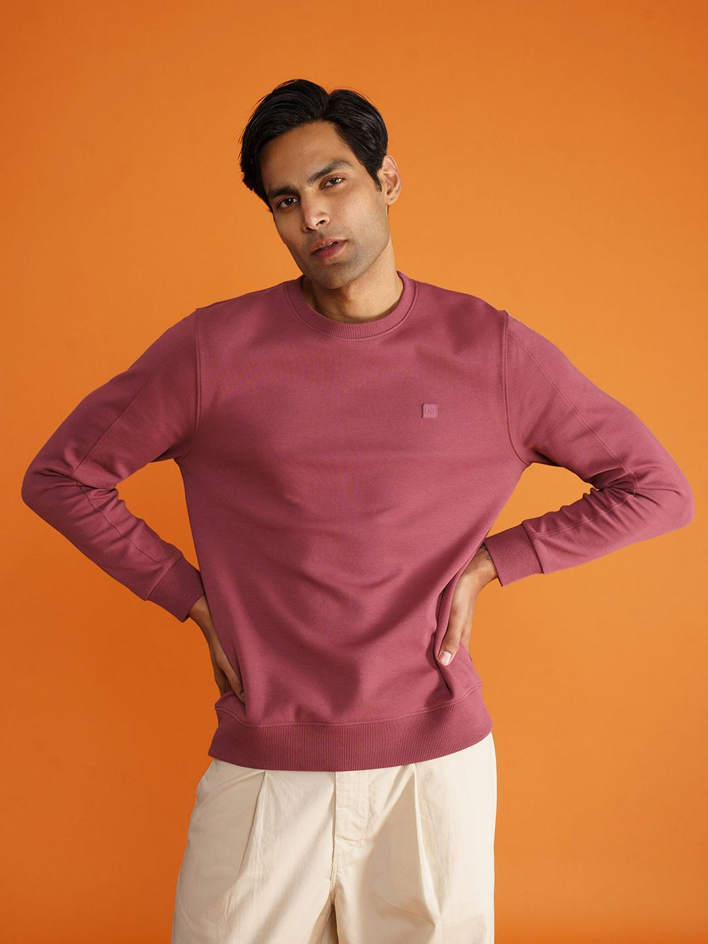  DAMENSCH Premium Cotton Regular Fit Sweatshirt