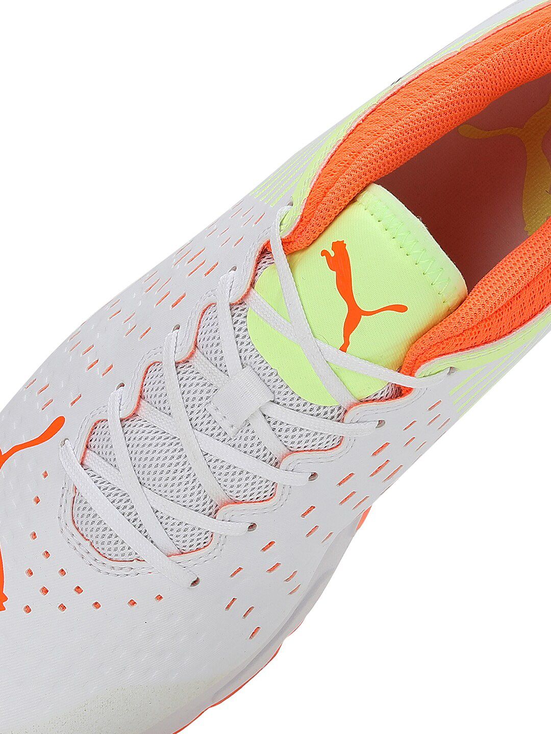  Puma Spike 22.1 Men Cricket Sports Shoes