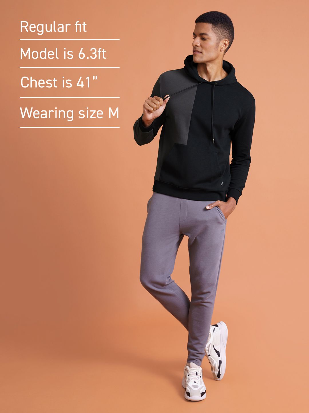  DAMENSCH Cotton Regular Fit Colorblocked Hooded Sweatshirt