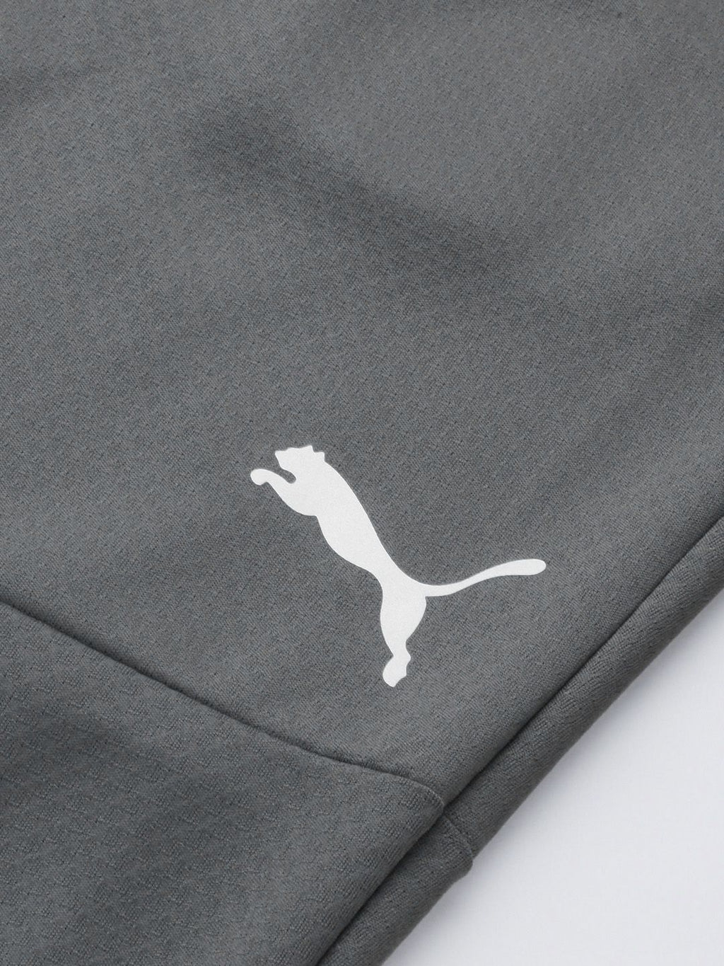  Puma Men TeamFINAL Training Dry Cell Slim Fit Track Pants