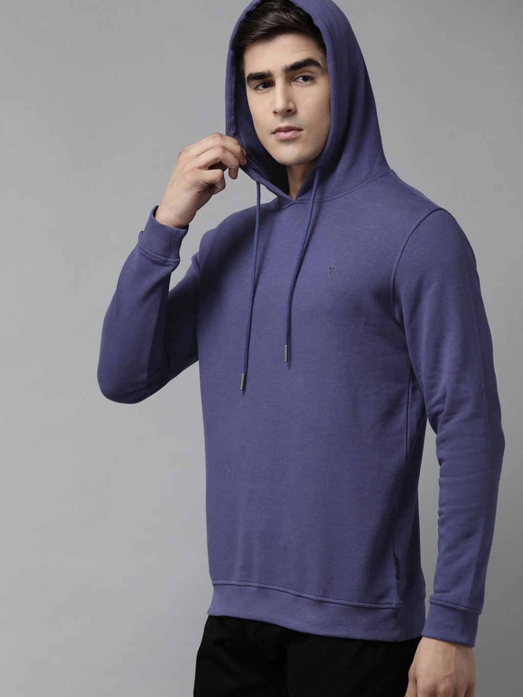  Van Heusen Men Purple Hooded Sweatshirt