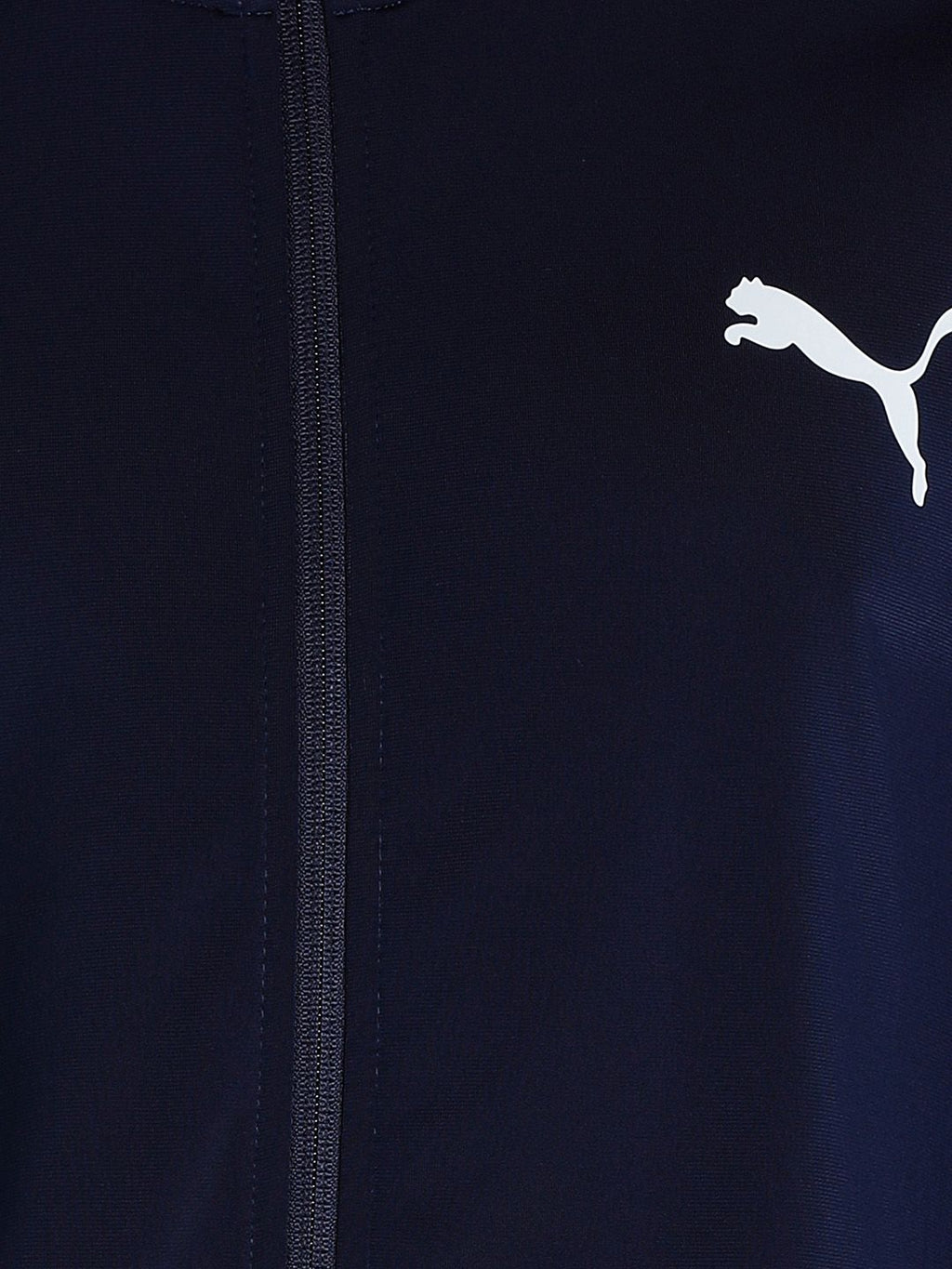  Puma Men Blue Solid Tracksuit
