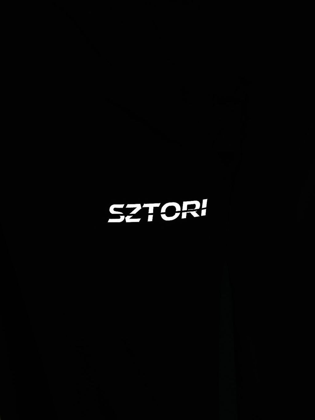  Sztori Men Plus Size Quick Dry Sports Joggers With Brand Logo Print Detail