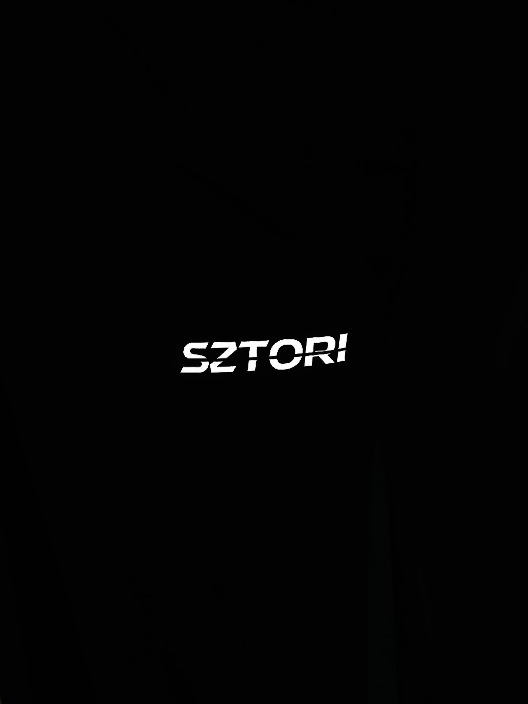  Sztori Men Plus Size Quick Dry Sports Joggers With Brand Logo Print Detail